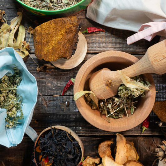 How To Become an Herbalist